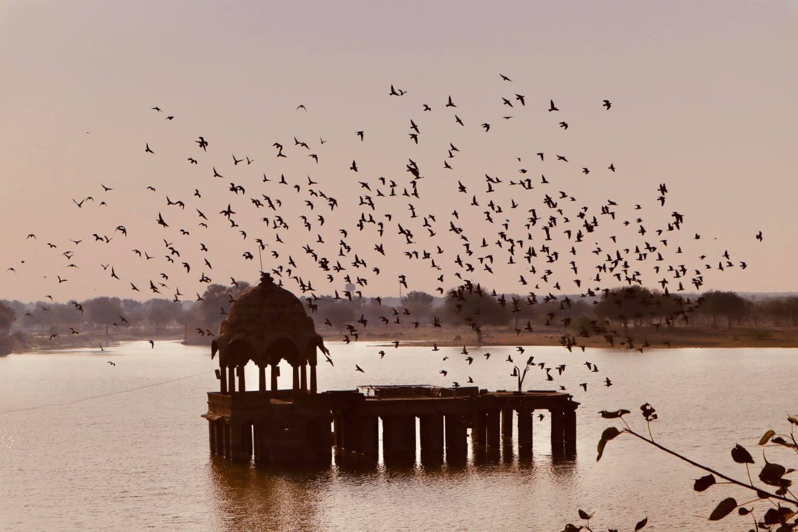 Đón bình minh rực rỡ ở hồ Gadisar - Jaisalmer