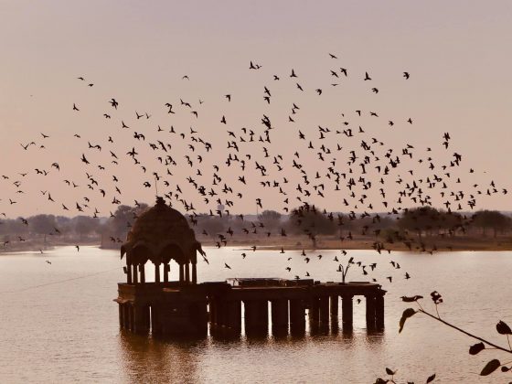 Đón bình minh rực rỡ ở hồ Gadisar - Jaisalmer